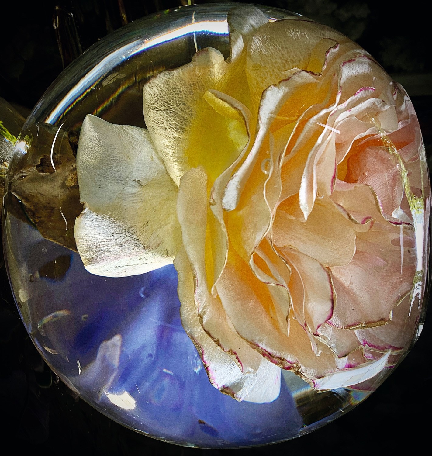 MJ Harper Katy England Benjamin A Huseby Charlie Gosling