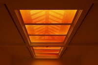 Installation view of Nat Faulkner. _Strong water_ 