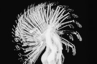 New York City Ballet Art Series by Thibaut Grevet